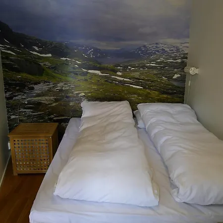 Hordatun 3* Røldal